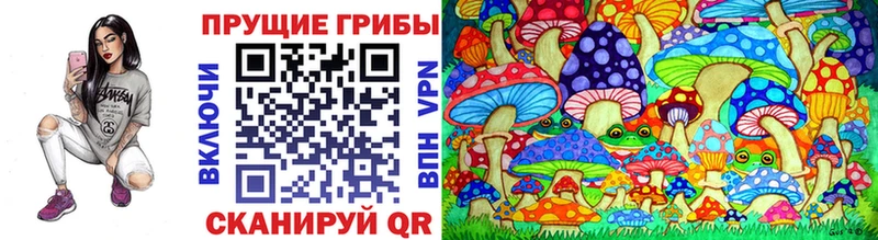 купить  цена  Лакинск  Галлюциногенные грибы MAGIC MUSHROOMS 